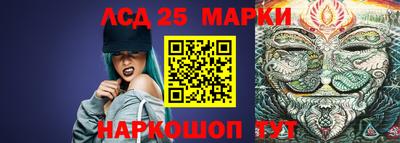 apvp Кимры