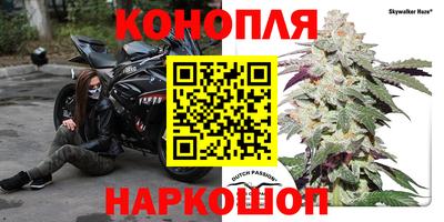 мет Кингисепп