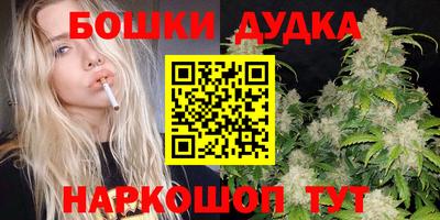 мет Кингисепп
