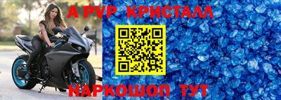 мет Кингисепп
